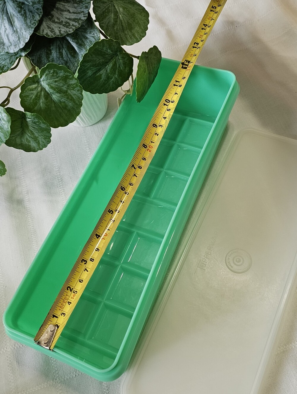 Vintage Tupperware Celery/Vegetable Crisper - Picture 6 of 7